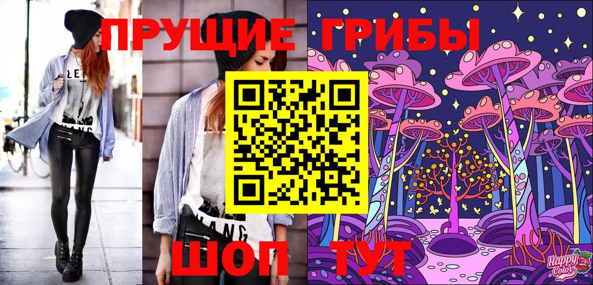 Галлюциногенные грибы GOLDEN TEACHER  Галлюциногенные грибы мухоморы  где найти   Вход с VPN  Владивосток 